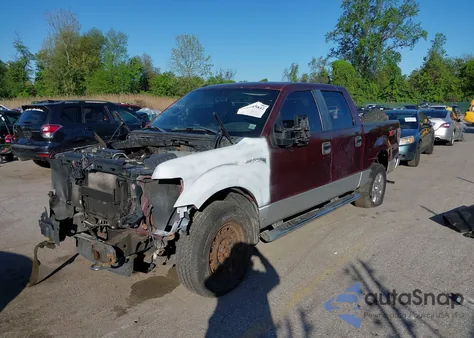 2010 Ford F-150 Fx4/Harley-Davidson/King Ranch/Lariat/Platinum/Xl/Xlt z USA, uszkodzony, nr VIN 1FTFW1EV7AFC08166